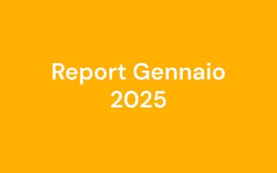 Report Gennaio 2025
